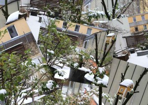 Schneewirrwarr auf meiner Koelner Sommerterrasse