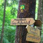 Mausloch auf dem Lieserpfad