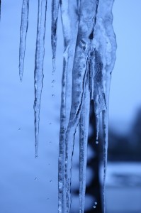 Eisig, blutend Herz (Schirrmi)