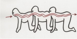 Human Centipede - How it works