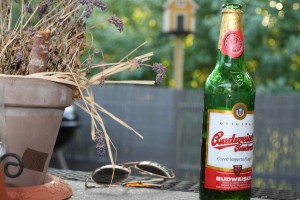 Klein_Budweiser-8R0B1861