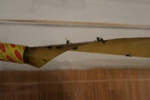 Comp_IMG_7926