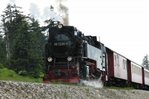 Small_IMG_0973