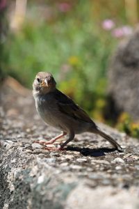 comp_koelner-zoo_cg6a4141