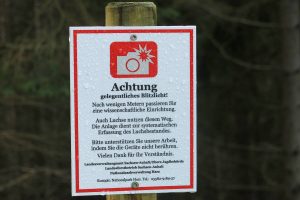 comp_img_9451